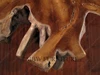 Heavy Rustic Teak Root Coffee Table w/ Glass Top
