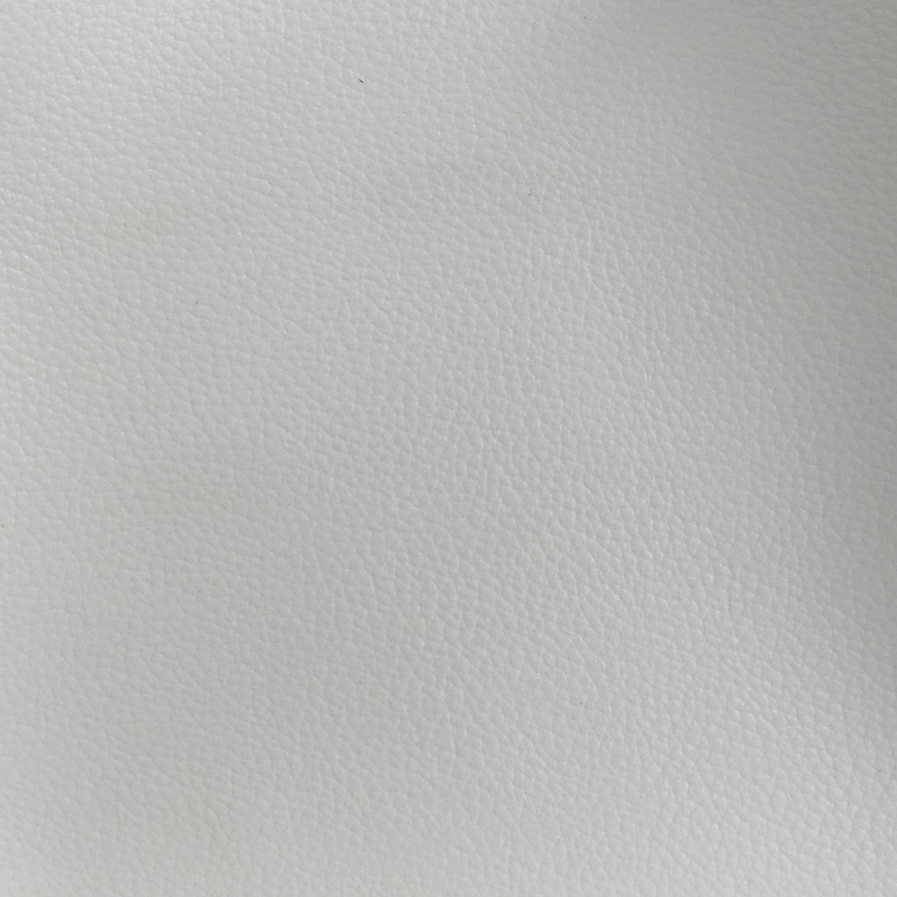 Venty Broken White Leather Sample