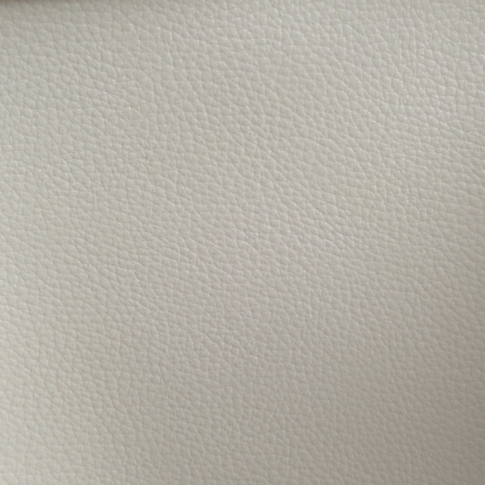 Venty Cream Leather Sample