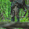 DRAKE Men's Early Bird SWT Water-Resistant Hunting Pants (OT0073)