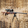 WINCHESTER REPEATING ARMS Model 70 Super Grade .300 WSM 24in 3rd Bolt-Action Rifle (535203255)