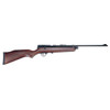 BEEMAN QB78 .22 Cal Air Rifle (QB78-22)