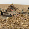 AVERY Power Hunter Realtree Max-7 Blind (01450)