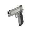 DAN WESSON Heritage RZ-45 45 ACP 5in 8Rd Stainless Pistol (01981)