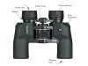 VORTEX Raptor 10 x 32 Porro Prism Binocular (R310)