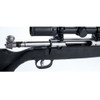 SAVAGE Axis II XP Stainless .22-250 Rem 22in 4rd Bolt-Action Rifle (57102)