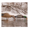 AVERY 12 Pack of Over-Size Mallard Shell Harvester Decoys (70167)