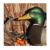 AVERY GHG 500ft Braided Decoy Cord (81500)