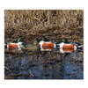 AVERY 6 Pack of Over-Size Shoveler Decoys (73010)