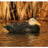 AVERY 6 Pack of Over-Size Black Duck Decoys (73015)