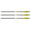 TENPOINT Pro Elite 400 3-Pack Alpha-Brite Lighted Carbon Arrow (HEA-668.3)