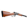 ROSSI Rio Bravo .22LR 18in 15rd Lever-Action Rifle (RL22181WD)
