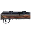 SAVAGE A22 BNS-SR 22LR 18in 10rd Wood-Laminated Forest Green Stock Rimfire Rifle (47249)