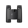 SWAROVSKI CL Pocket 10x25 Anthracite Mountain Binoculars (46157)