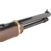HENRY Golden Boy 17 HMR 20in 11rd Lever Rifle (H004V)
