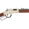 HENRY Golden Boy 17 HMR 20in 11rd Lever Rifle (H004V)