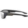 LEUPOLD Cheyenne Perfomance Matte Black/Shadow Gray Flash Eyewear (181280)