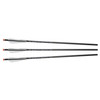 EXCALIBUR FireBolt 20in Illuminated Carbon 3 Pack Crossbow Arrows (22CAVIL-3)