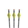 EXCALIBUR Quill 16.5in Illuminated Carbon 3 Pack Crossbow Arrows (22QV16IL-3)
