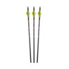 EXCALIBUR Quill 16.5in Illuminated Carbon 3 Pack Crossbow Arrows (22QV16IL-3)