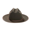 STETSON Royal Deluxe Open Road Sage Hat (TFROPR-362642)