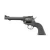 RUGER Super Wrangler 22 Mag/22 LR 5.5in 6rd Black Revolver (2032)