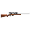 WINCHESTER REPEATING ARMS XPR Sporter .243 Winchester 22in 3rd Walnut Bolt-Action Rifle (535709212)