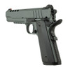 TISAS 1911 Night Stalker 45 ACP 5in 8rd Platinum Gray Cerakote Pistol (1911-Night-Stalker)