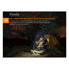 FENIX HM23 240 Lumens AA Black Headlamp (HM23)