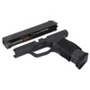 SIG SAUER P365 380 ACP 3.1in 10 rd Black Caliber Conversion Kit (8900719)