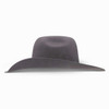 RESISTOL Hooey 4X Day Money Felt Gray Cowboy Hat  (RWHODM-904253)