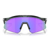 OAKLEY Hydra Crystal Black Frame/ Prizm Violet Lenses Sunglasses (OO9229-0437)