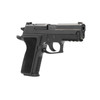 SIG SAUER P229 Elite 9mm 3.9in 2x15rd Black Double Action/Single Action Pistol (E29R-9-BSE-R2)