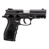 TAURUS TH45 .45 ACP Black 4.25in 13rd 2mag Semi-Auto Pistol (1-TH45041)