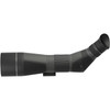 LEUPOLD SX-4 Pro Guide HD Gen 2 20-60x85mm Angled Spotting Scope (185679)