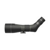 LEUPOLD SX-2 Alpine HD Gen 2 20-60x80mm Angled Spotting Scope (185684)