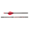 VICTORY ARCHERY RIP Xtreme Velocity Sport 6.4 GPI 6-Pack Fletched Arrow Shaft (RIPXVSB-350FQ-6)