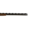 CZ All-American 12Ga 30in Barrel 3in Chamber Turkish Walnut Stk Gloss Blue Shotgun (06585)