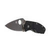 SPYDERCO 2.25in Ambitious Folding Knife (C148GP)