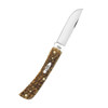 CASE XX Sod Buster Jr Amber Bone Peach Seed Jig Amber Bone Stainless Steel Pocket Knife (00245)