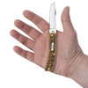 CASE XX Sod Buster Jr Amber Bone Peach Seed Jig Amber Bone Stainless Steel Pocket Knife (00245)