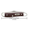 CASE XX Peanut Jigged Brown Synthetic 2-Blade Pocket Knife (00046)