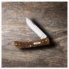 CASE XX Sod Buster Jr Peach Seed Jig Amber Bone CS Pocket Knife (30092)