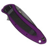 KERSHAW Scallion 2.4in Drop Point Purple Folding Knife (1620PUR)