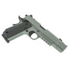 TISAS 1911 Night Stalker Comp 10mm 4.25in 2x 8rd Mags Platinum Grey Semi-Auto Pistol (10100134)