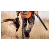 MOSSBERG International Gold Reserve 16 Gauge 28in Vent Rib Break Open Bead Sight 2rd Walnut Shotgun (75491)