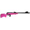 ROSSI RB22 .22LR 16in Threaded 10rd Pink Bolt-Action Rifle (RB22L1611P)