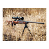WINCHESTER REPEATING ARMS M70 Super Grade 6.5 Creedmoor 22in 4rd NS Bolt-Action Rifle (535203289)