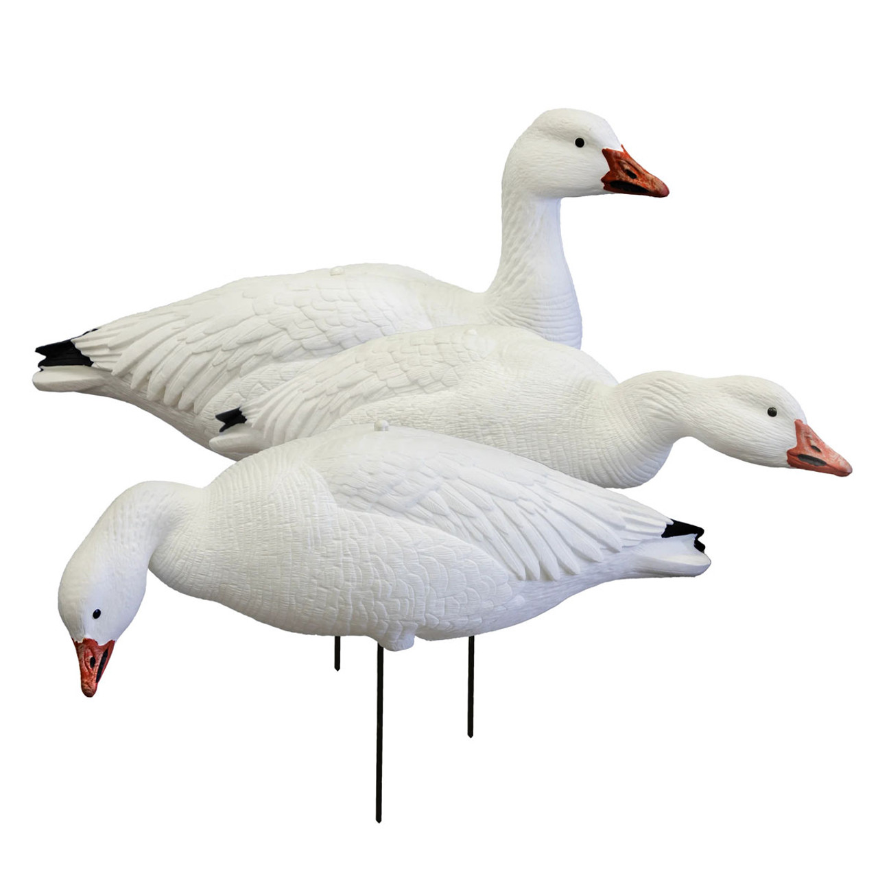 White rock canada goose clearance decoys review