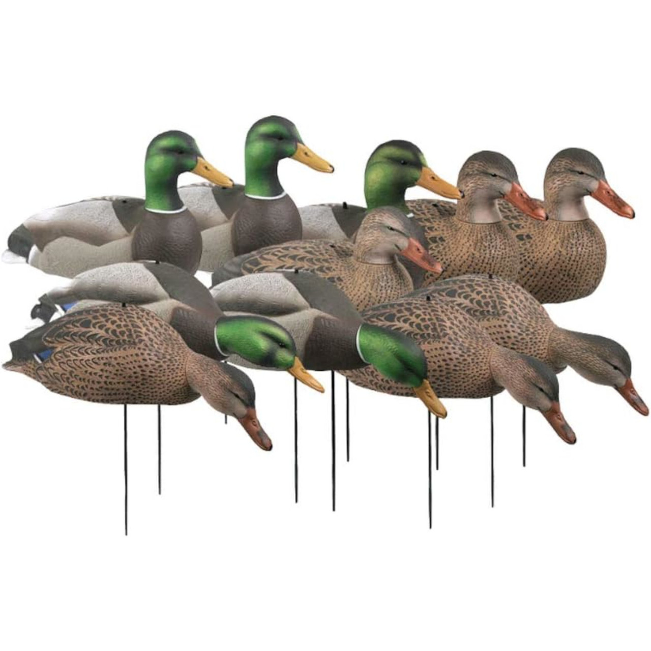 Avery GHG Hunter Series Mallard Shell Decoys